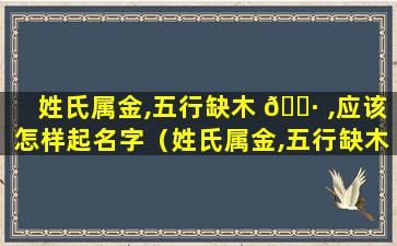 姓氏属金,五行缺木 🕷 ,应该怎样起名字（姓氏属金,五行缺木,应该怎样起名字 🌳 呢）